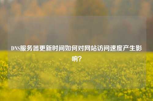 DNS服務(wù)器更新時(shí)間如何對(duì)網(wǎng)站訪問(wèn)速度產(chǎn)生影響？