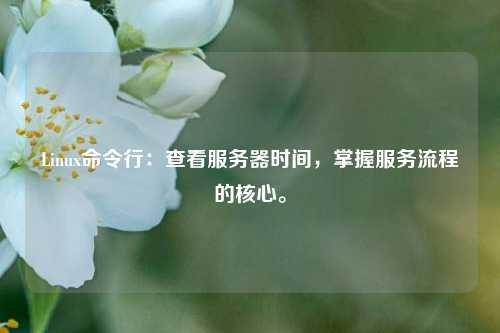 Linux命令行：查看服務(wù)器時間，掌握服務(wù)流程的核心。