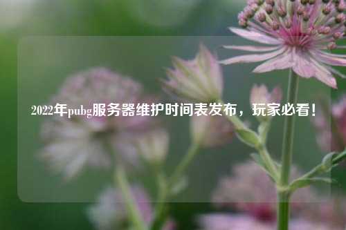 2022年pubg服務(wù)器維護(hù)時(shí)間表發(fā)布，玩家必看！