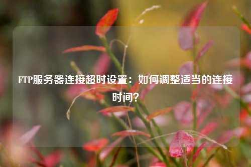 FTP服務(wù)器連接超時(shí)設(shè)置：如何調(diào)整適當(dāng)?shù)倪B接時(shí)間？