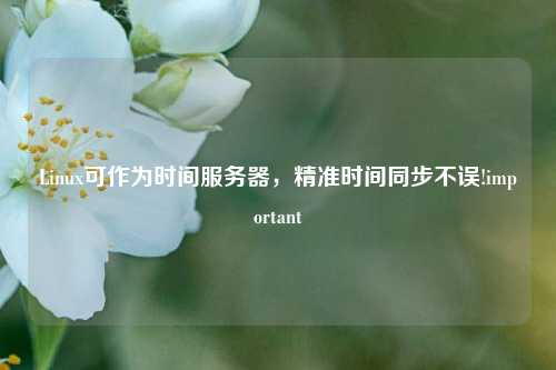 Linux可作為時(shí)間服務(wù)器，精準(zhǔn)時(shí)間同步不誤!important