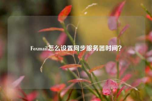 Foxmail怎么設(shè)置同步服務(wù)器時(shí)間？