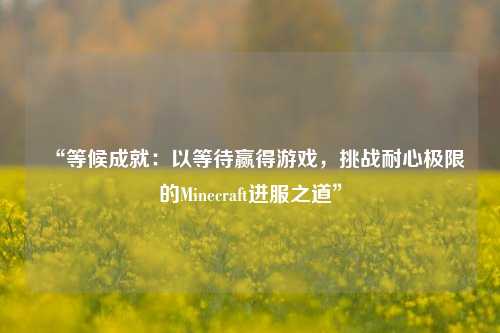 “等候成就：以等待贏得游戲，挑戰(zhàn)耐心極限的Minecraft進服之道”
