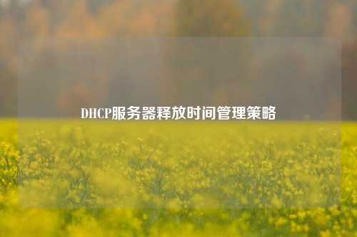 DHCP服務(wù)器釋放時(shí)間管理策略