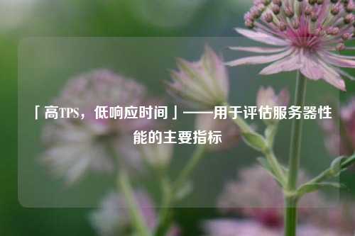 「高TPS，低響應(yīng)時間」——用于評估服務(wù)器性能的主要指標