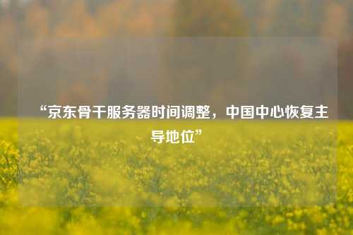 “京東骨干服務(wù)器時(shí)間調(diào)整，中國(guó)中心恢復(fù)主導(dǎo)地位”