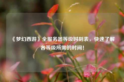 《夢(mèng)幻西游》全服務(wù)器等級(jí)時(shí)刻表，快速了解各等級(jí)所需的時(shí)間！