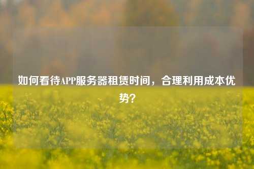 如何看待APP服務器租賃時間，合理利用成本優(yōu)勢？