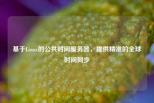 基于Linux的公共時間服務(wù)器，提供精準(zhǔn)的全球時間同步