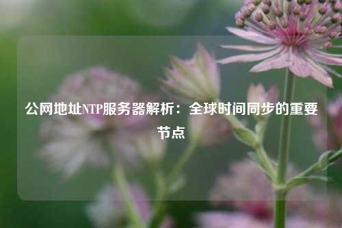 公網地址NTP服務器解析：全球時間同步的重要節(jié)點