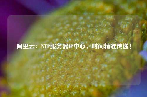 阿里云：NTP服務器IP中心，時間精準傳遞！