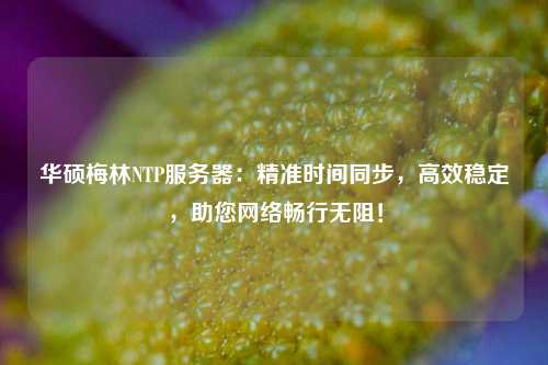 華碩梅林NTP服務(wù)器：精準(zhǔn)時間同步，高效穩(wěn)定，助您網(wǎng)絡(luò)暢行無阻！