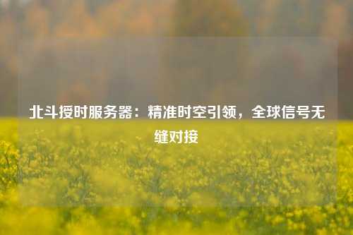 北斗授時服務(wù)器：精準(zhǔn)時空引領(lǐng)，全球信號無縫對接