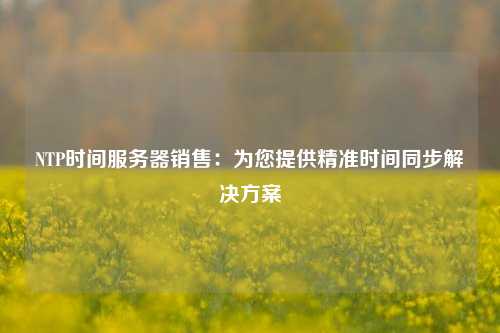 NTP時(shí)間服務(wù)器銷售：為您提供精準(zhǔn)時(shí)間同步解決方案