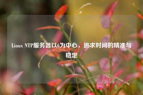Linux NTP服務器以6為中心，追求時間的精準與穩(wěn)定