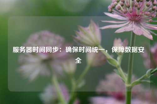 服務(wù)器時(shí)間同步：確保時(shí)間統(tǒng)一，保障數(shù)據(jù)安全
