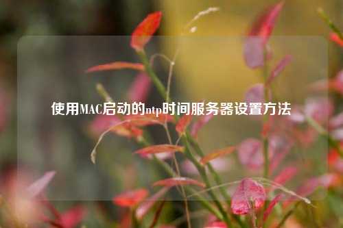 使用MAC啟動(dòng)的ntp時(shí)間服務(wù)器設(shè)置方法