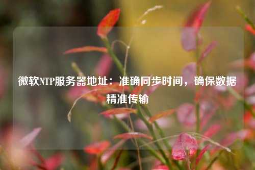 微軟NTP服務(wù)器地址：準確同步時間，確保數(shù)據(jù)精準傳輸