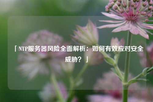 「NTP服務(wù)器風(fēng)險(xiǎn)全面解析：如何有效應(yīng)對(duì)安全威脅？」