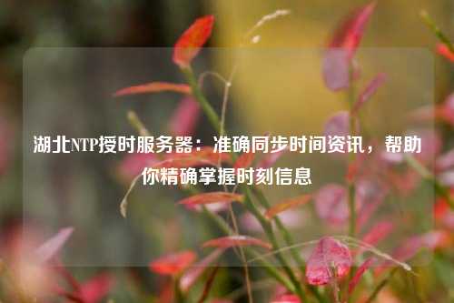 湖北NTP授時(shí)服務(wù)器：準(zhǔn)確同步時(shí)間資訊，幫助你精確掌握時(shí)刻信息