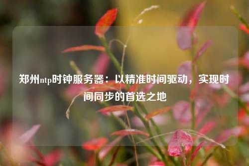 鄭州ntp時鐘服務器：以精準時間驅(qū)動，實現(xiàn)時間同步的首選之地