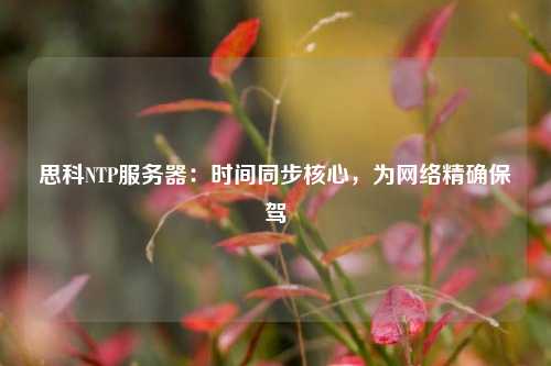 思科NTP服務器：時間同步核心，為網(wǎng)絡精確保駕