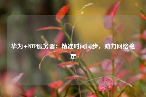 華為+NTP服務(wù)器：精準(zhǔn)時(shí)間同步，助力網(wǎng)絡(luò)穩(wěn)定