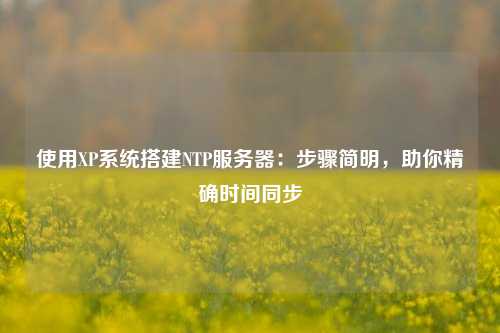 使用XP系統(tǒng)搭建NTP服務(wù)器：步驟簡(jiǎn)明，助你精確時(shí)間同步