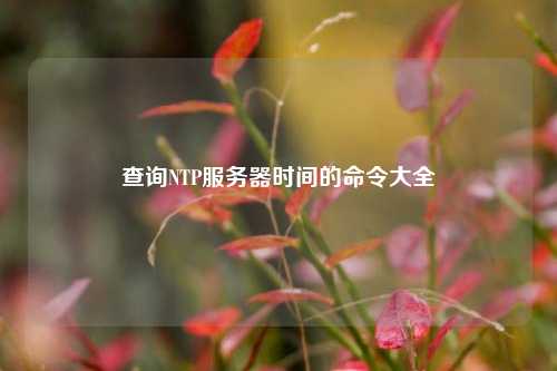 查詢NTP服務(wù)器時間的命令大全