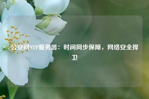 公安網(wǎng)NTP服務(wù)器：時間同步保障，網(wǎng)絡(luò)安全捍衛(wèi)