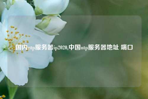 國內(nèi)ntp服務器ip2020,中國ntp服務器地址 端口