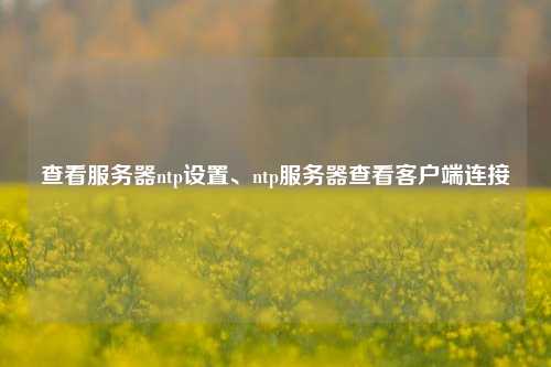 查看服務(wù)器ntp設(shè)置、ntp服務(wù)器查看客戶端連接